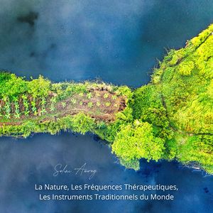 Marche Silencieuse en Forêt