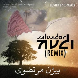 Akharin Peyk (feat. Bijan Mortazavi & SalvadorAudi) (AudiAudi Remix)