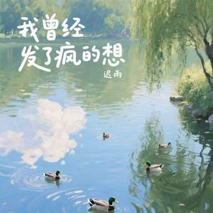 我曾经发了疯的想