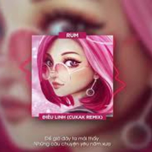 Điêu Linh (feat. Rum) (Remix) (Remix)