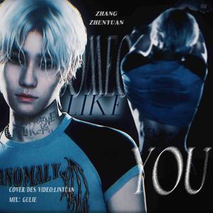 Someone Like You（翻自 张真源）