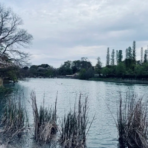 Spending A Long Night (feat. 夏色花梨)