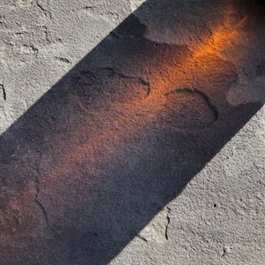 Untitled (For Bloßfeldt)