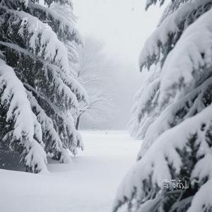 雪落南山