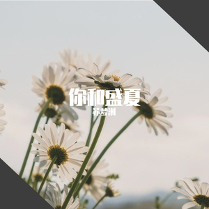 你和盛夏
