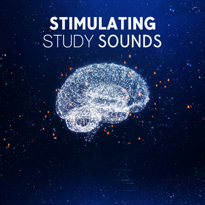 Brain Capacity Increase