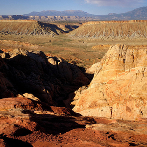 打工我打了那么久