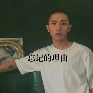 你的世界我曾来过(最火版)