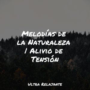 Sueño Ininterrumpido