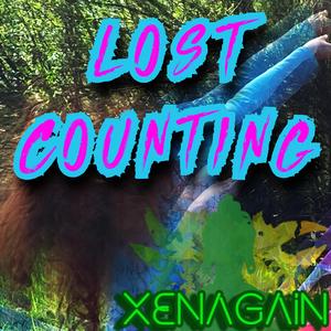Lost Counting
