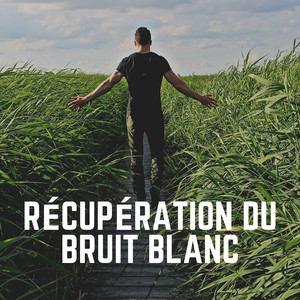 Bruit Blanc de Sommeil, Pt. 2