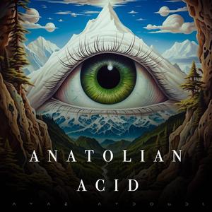 Anatolian Acid (feat. Cafer Nazlıbaş)