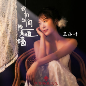 我们之间隔着一道墙