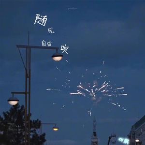随风自由吹
