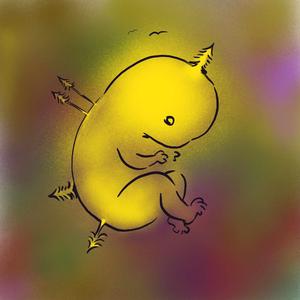 Embryo