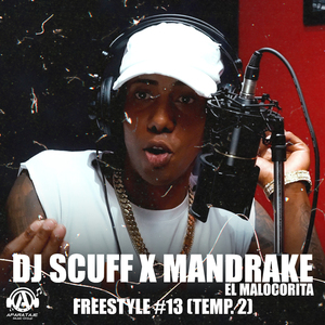 Freestyle #13 (Temp. 2)