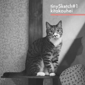tinySketch #1
