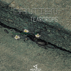 Teardrops (Original Mix)
