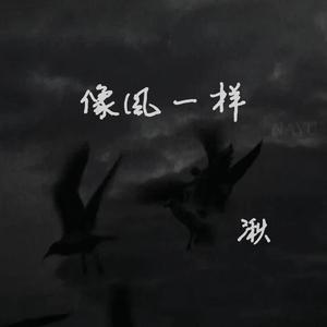 像风一样（抖音完整版）（翻自 单依纯）