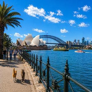 Daydream in Motion_ver.2