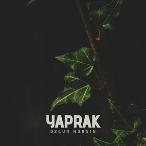 Yaprak