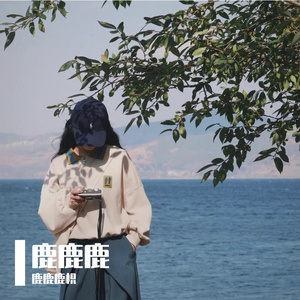 燕归来 伴奏
