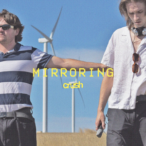 Mirroring