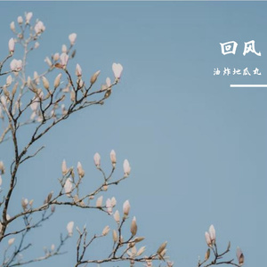 回风-整曲
