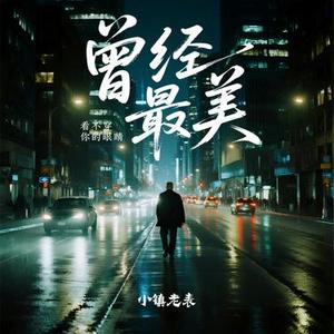 曾经最美（看不穿你的眼睛）