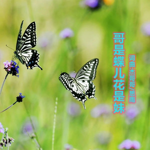 哥是蝶儿花是妹
