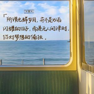 光辉岁月 口琴版