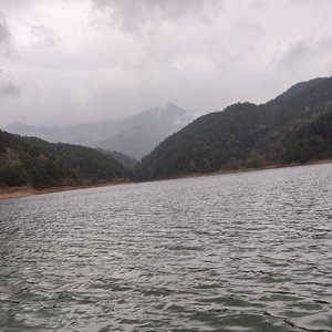 我路过你的青春，却错过了余生