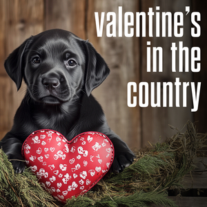 Dirt Road Date Night