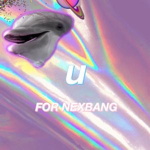 2-1 u【FOR NEXBANG】