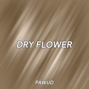 Dry Flower