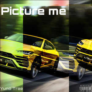 Picture Me
