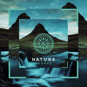 Maanverlichte Golven