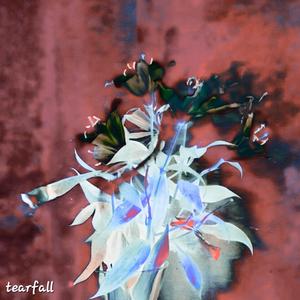 Tearfall