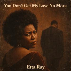 You Don’t Get My Love No More