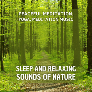 Meditation and Reflection