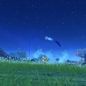 月光下的凤尾竹 (催眠曲)