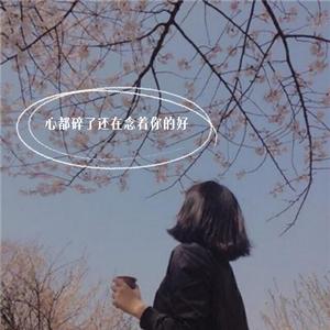 忘情果 (DJ女声版)