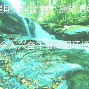 微妙的午餐心情