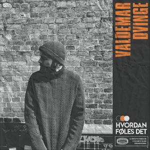 Hvordan Føles Det (feat. Castles & Coke)