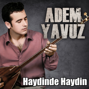 Haydinde Haydin