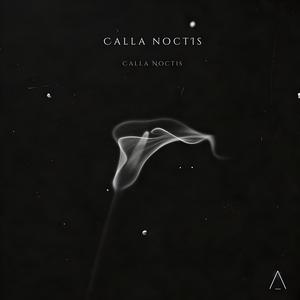 Calla Noctis