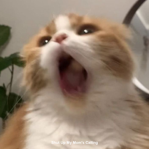Shut Up My Mom's Calling (Sped up)