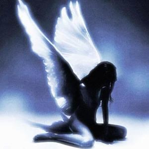 红尘泪(ta是个擦边女)