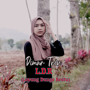 L.D.R (Layang Dungo Restu)