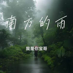 南方的雨